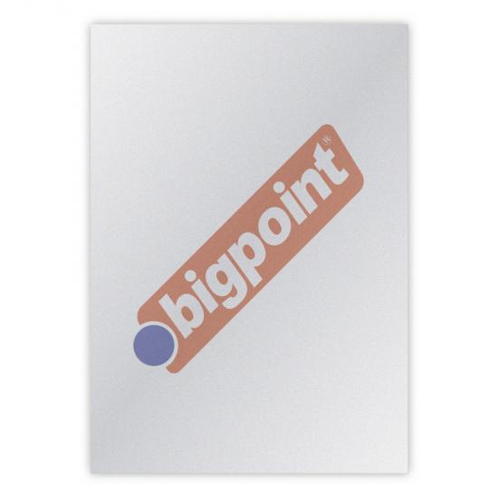 Bigpoint A4 Cilt Kapağı 150 Mikron Buzlu Şeffaf 100’lü Paket