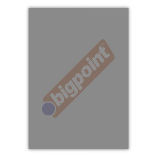 Bigpoint A4 Cilt Kapağı 150 Mikron Şeffaf Siyah 100’lü Paket